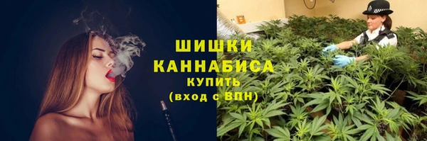 шишки Заводоуковск
