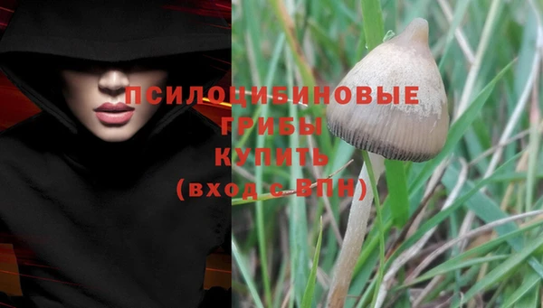 2c-b Зеленокумск
