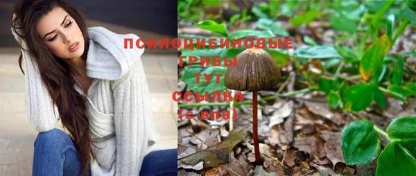 бошки Зеленодольск