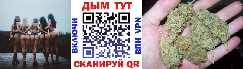 Купить  Волжск  Бошки марихуана сатива 